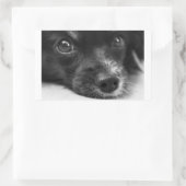 Sticker Rectangulaire face papillon (Sac)