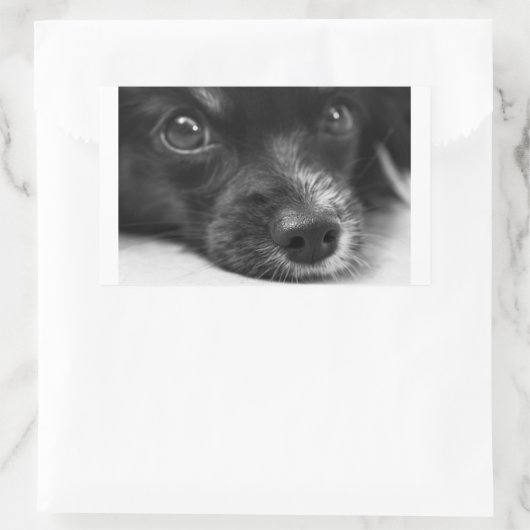 Sticker Rectangulaire face papillon (Sac)