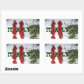 Sticker Rectangulaire Faire des tomates séchées au soleil (Feuille)