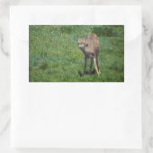 Sticker Rectangulaire Faire face (Sac)