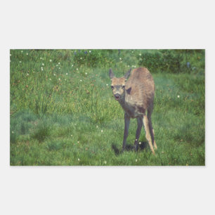 Sticker Rectangulaire Faire face