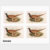 Sticker Rectangulaire Faisan coloré (Feuille)