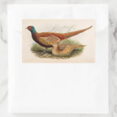 Sticker Rectangulaire Faisan coloré (Sac)