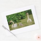 Sticker Rectangulaire Famille Swan (Enveloppe)