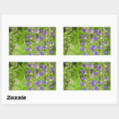 Sticker Rectangulaire Faux Indigo (Baptisia australis) (Feuille)