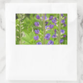 Sticker Rectangulaire Faux Indigo (Baptisia australis) (Sac)
