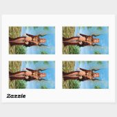 Sticker Rectangulaire Fée magique (Feuille)