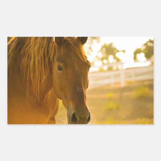 Sticker Rectangulaire Fermeture Brown du cheval (Devant)