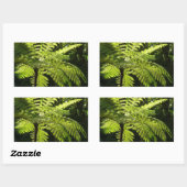 Sticker Rectangulaire Ferne arborescente dans la forêt tropicale (Feuille)