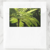 Sticker Rectangulaire Ferne arborescente dans la forêt tropicale (Sac)