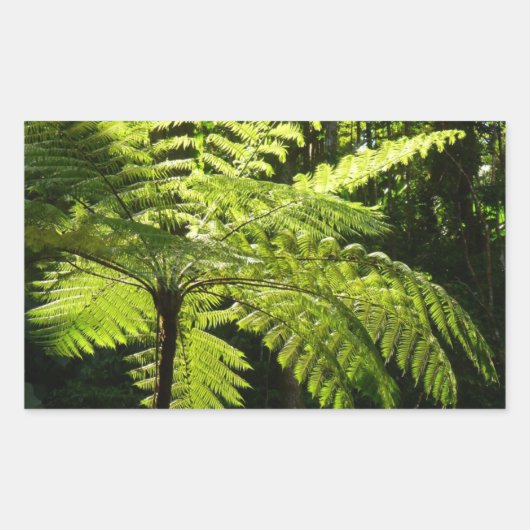 Sticker Rectangulaire Ferne arborescente dans la forêt tropicale (Devant)