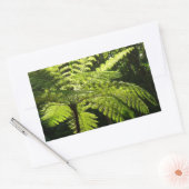 Sticker Rectangulaire Ferne arborescente dans la forêt tropicale (Enveloppe)