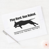 Sticker Rectangulaire Feuille d'autocollants Jouez dur AHT (Enveloppe)