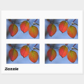 Sticker Rectangulaire Feuilles d'automne colorées illuminées Trio (Feuille)