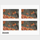 Sticker Rectangulaire Feuilles d'automne dans la cascade I Photographie  (Feuille)