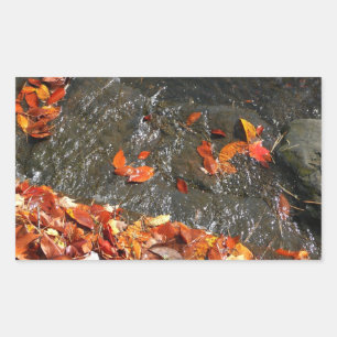Sticker Rectangulaire Feuilles d'automne dans la cascade I Photographie 