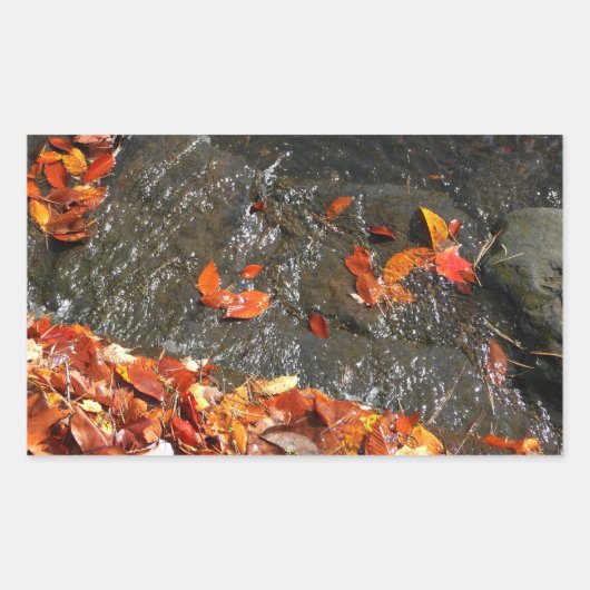 Sticker Rectangulaire Feuilles d'automne dans la cascade I Photographie  (Devant)