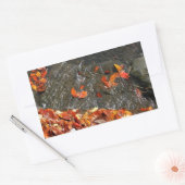 Sticker Rectangulaire Feuilles d'automne dans la cascade I Photographie  (Enveloppe)