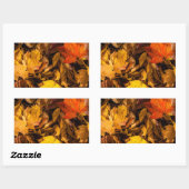 Sticker Rectangulaire Feuilles d'automne éclatantes (Feuille)