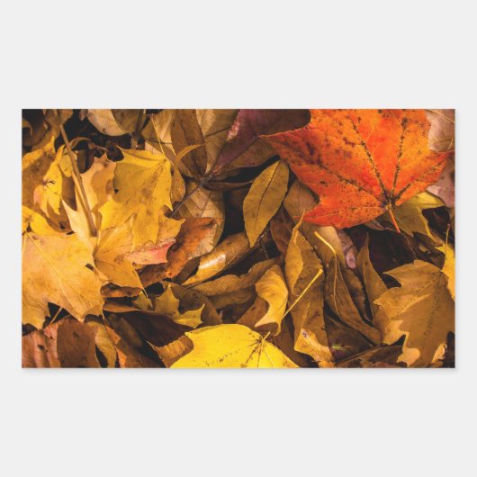 Sticker Rectangulaire Feuilles d'automne éclatantes (Devant)