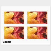Sticker Rectangulaire Feuilles d'automne - Etonnant! (Feuille)