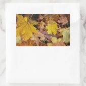 Sticker Rectangulaire Feuilles de Érable Tombées Jaune Automne Nature (Sac)