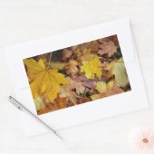 Sticker Rectangulaire Feuilles de Érable Tombées Jaune Automne Nature (Enveloppe)