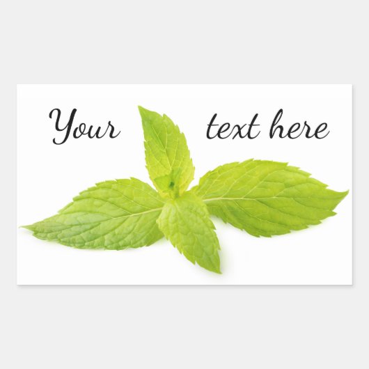 Sticker Rectangulaire Feuilles de la monnaie (Devant)