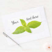 Sticker Rectangulaire Feuilles de la monnaie (Enveloppe)