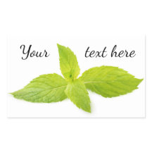 Feuilles de la monnaie