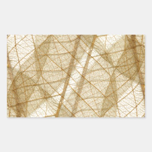 Sticker Rectangulaire Feuilles en dentelle beige crème pâle (Devant)