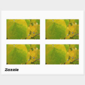 Sticker Rectangulaire Feuilles rouges jaunes et verts (Feuille)