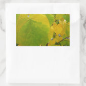 Sticker Rectangulaire Feuilles rouges jaunes et verts (Sac)