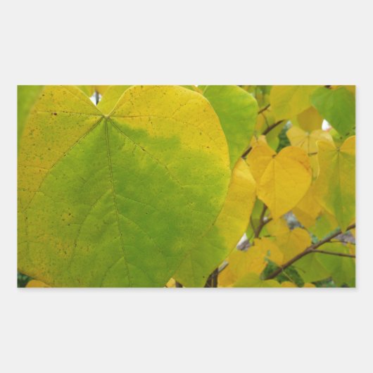 Sticker Rectangulaire Feuilles rouges jaunes et verts (Devant)