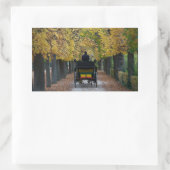 Sticker Rectangulaire Fiaker À Schönbrunn, Wien Österreich (Sac)