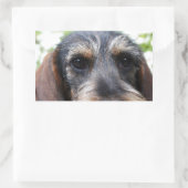 Sticker Rectangulaire Fil miniature Haired Dachshund (Sac)
