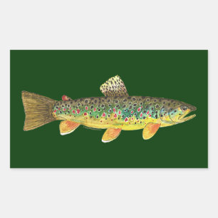 Sticker Rectangulaire Fishing