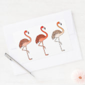 Sticker Rectangulaire Flamants roses couleur corail (Enveloppe)