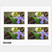 Sticker Rectangulaire Fleur blanche pourpre bleu Iris (Feuille)