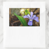 Sticker Rectangulaire Fleur blanche pourpre bleu Iris (Sac)