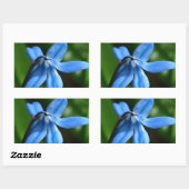 Sticker Rectangulaire Fleur Bluebell (Feuille)