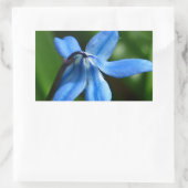 Sticker Rectangulaire Fleur Bluebell (Sac)