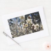 Sticker Rectangulaire Fleur de cerisier blanc / Sakura / ク(桜) (Enveloppe)