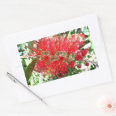 Sticker Rectangulaire Fleur de fond Rouge Tropical Floral (Enveloppe)