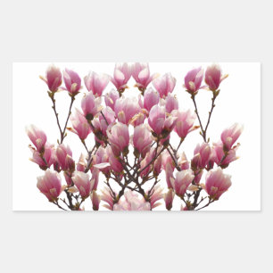 Sticker Rectangulaire Fleur de printemps rose florissante Magnolias