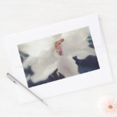 Sticker Rectangulaire Fleur de violet d'Afrique blanche (Enveloppe)