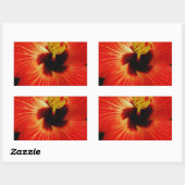 Sticker Rectangulaire Fleur d'Hibiscus rouge-orange (Feuille)