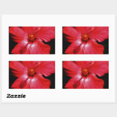 Sticker Rectangulaire Fleur d'Hibiscus rouge rose chaud sur noir (Feuille)
