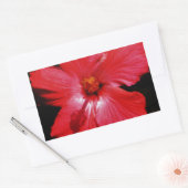 Sticker Rectangulaire Fleur d'Hibiscus rouge rose chaud sur noir (Enveloppe)