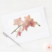 Sticker Rectangulaire Fleur d'orchidées rose Dendrobium - Modèle d'orchi (Enveloppe)